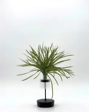 Dee Dee Pampa Lampshade