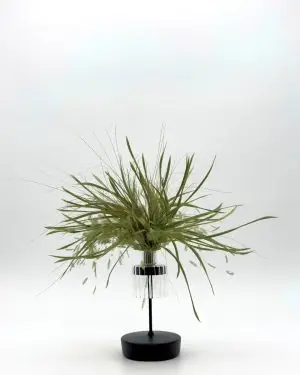 Dee Dee Wild Lampshade