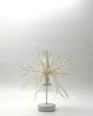 Dee Dee Pampa Lampshade
