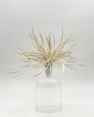 Ella Pampa Lampshade